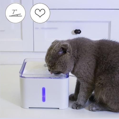 Pet Cat Water Fountain 2L Automatic Dog Drinking Dispenser Electric LED Lighting 7 Degree Slant Design Neck Care For Puppy Cats