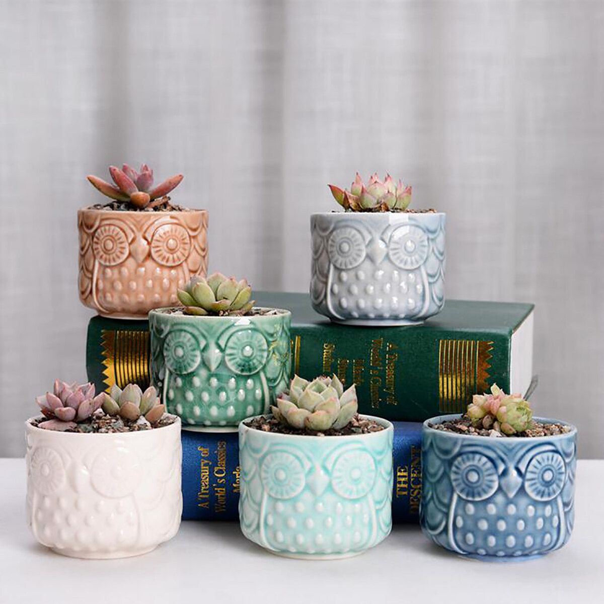 6 Pcs/Set Tabletop Owl Succulent Pots Ceramic Garden Flower Planter Holder Decor Pattern 1