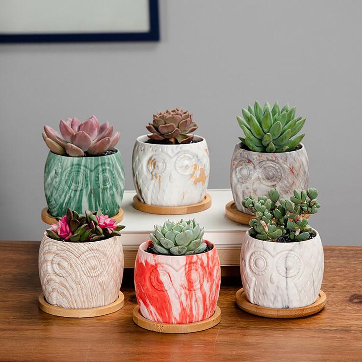 6 Pcs/Set Tabletop Owl Succulent Pots Ceramic Garden Flower Planter Holder Decor Pattern 1