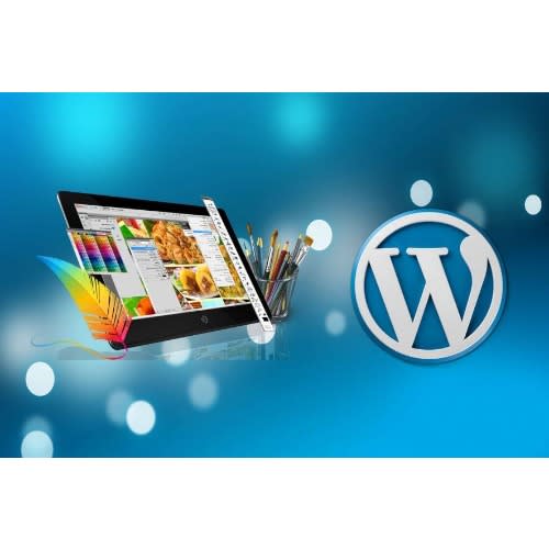The Complete Wordpress Website Business Course