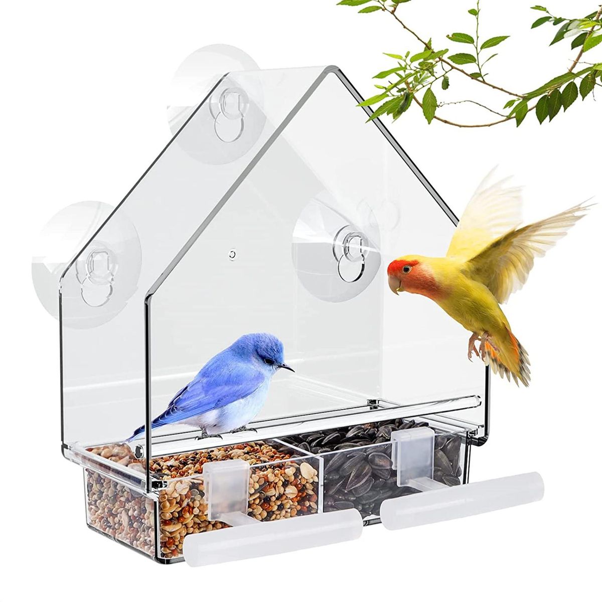 Bird Feeder Great Friction Perching Strip Parrot Feeder Clear