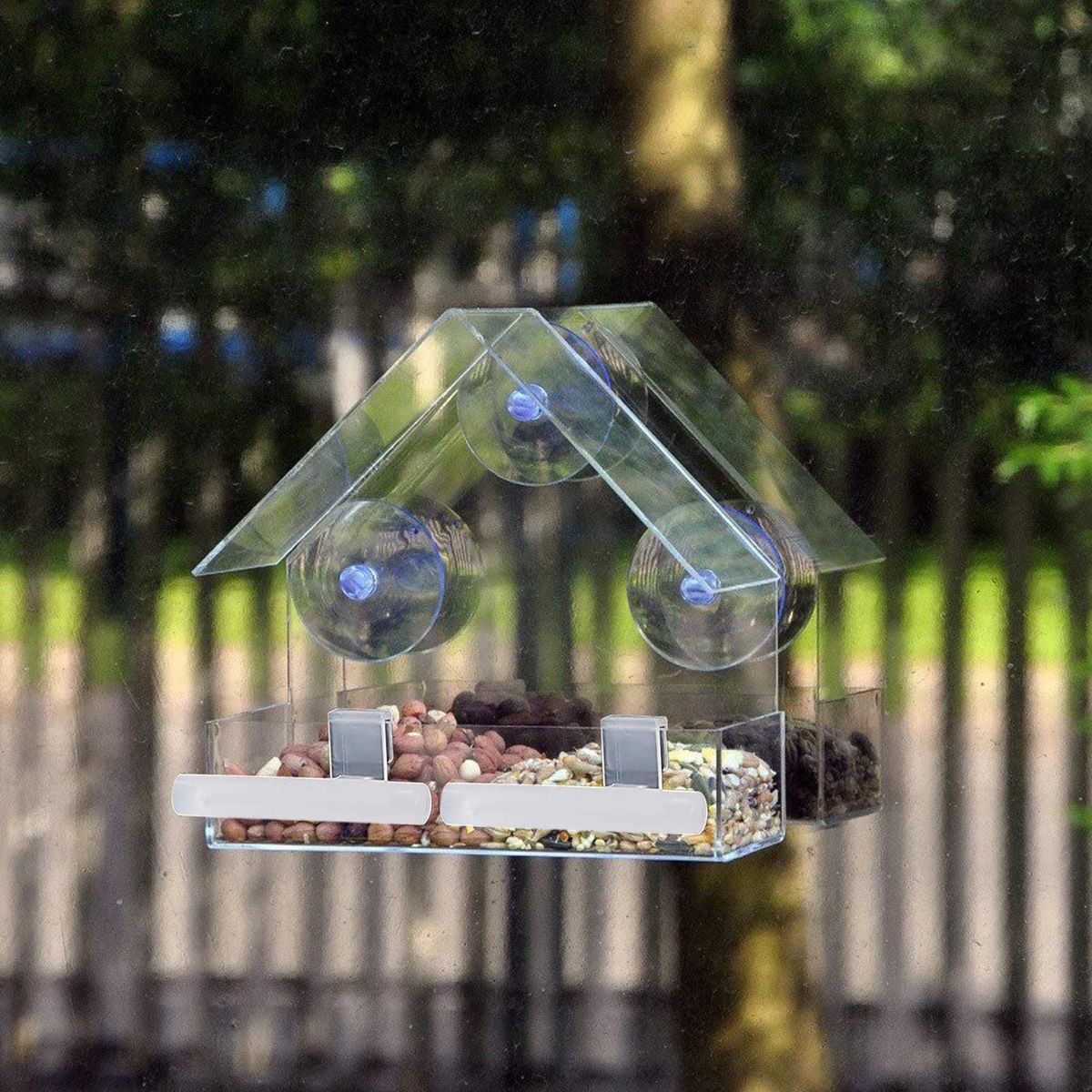 Bird Feeder Great Friction Perching Strip Parrot Feeder Clear