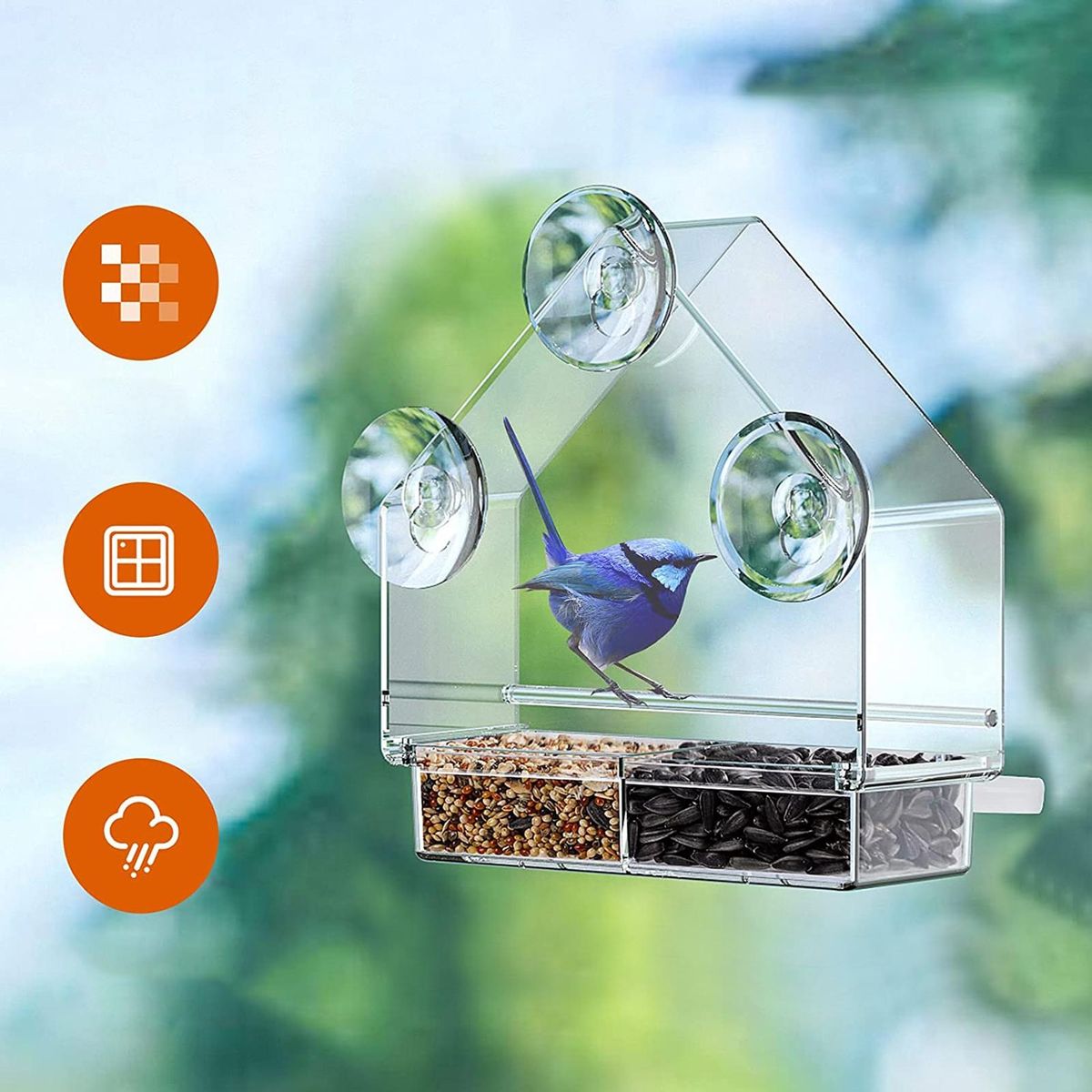 Bird Feeder Great Friction Perching Strip Parrot Feeder Clear
