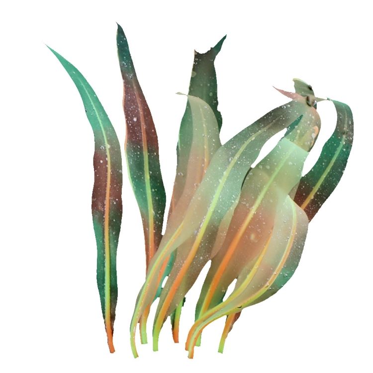 Aquarium Fish Tank Decoration, Size: HZ006 25cm Medium