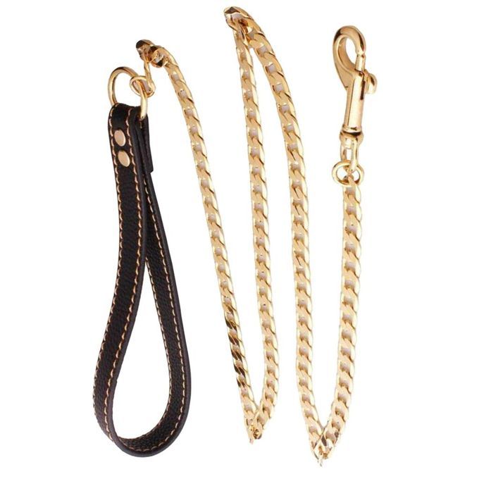 Pet Dog Puppy Chain Leash Dog Pull Rope Golden For Medium-sized Dogs