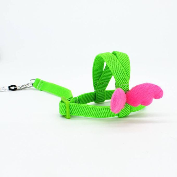 Cute Pet Parrot Bird Leash Adjustable Harness Training Rope Green 7mm
