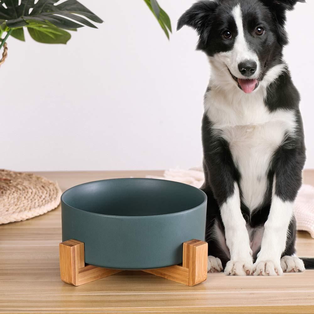 Kitten Bowl for Food and Water, Raised Ceramic Cat Food