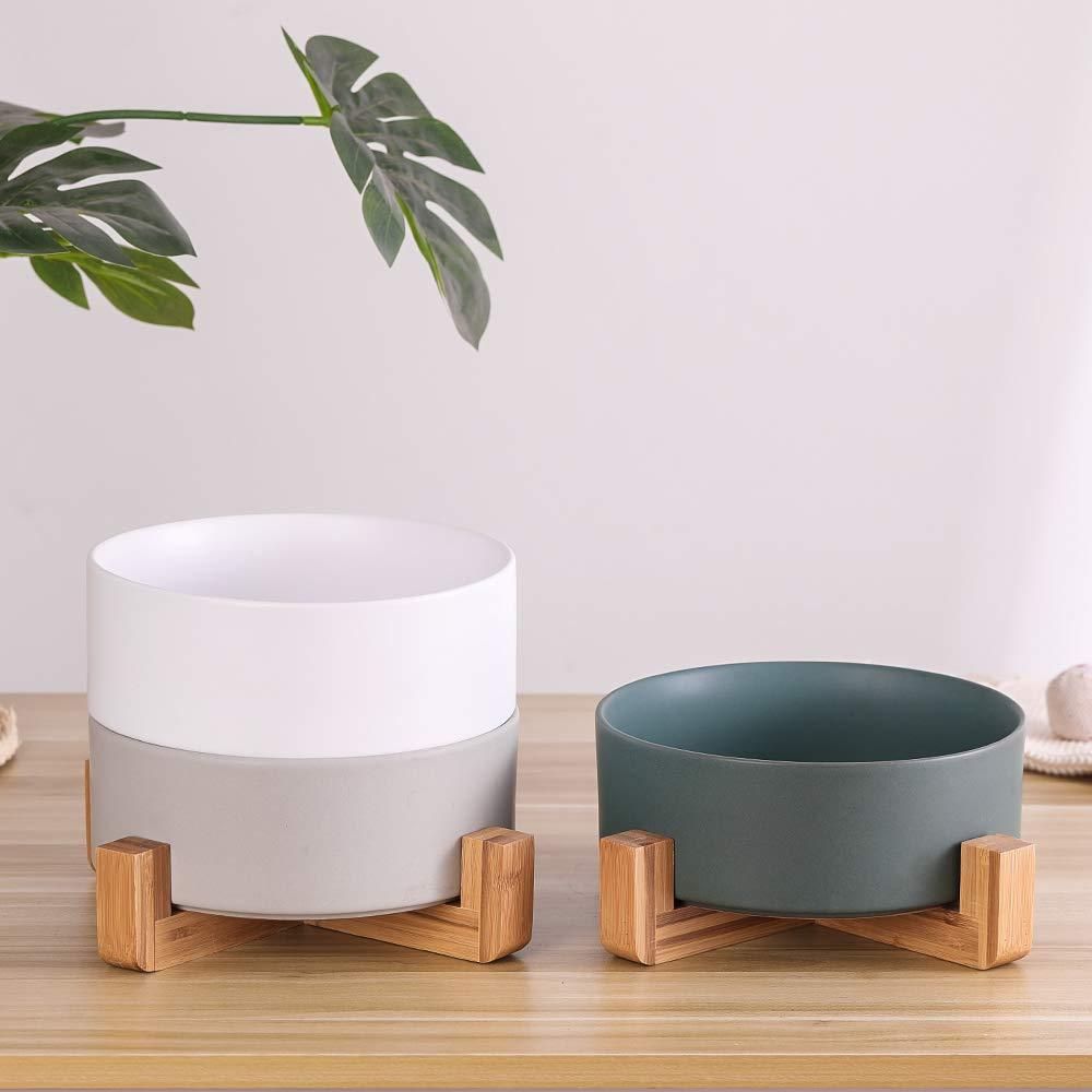 Kitten Bowl for Food and Water, Raised Ceramic Cat Food