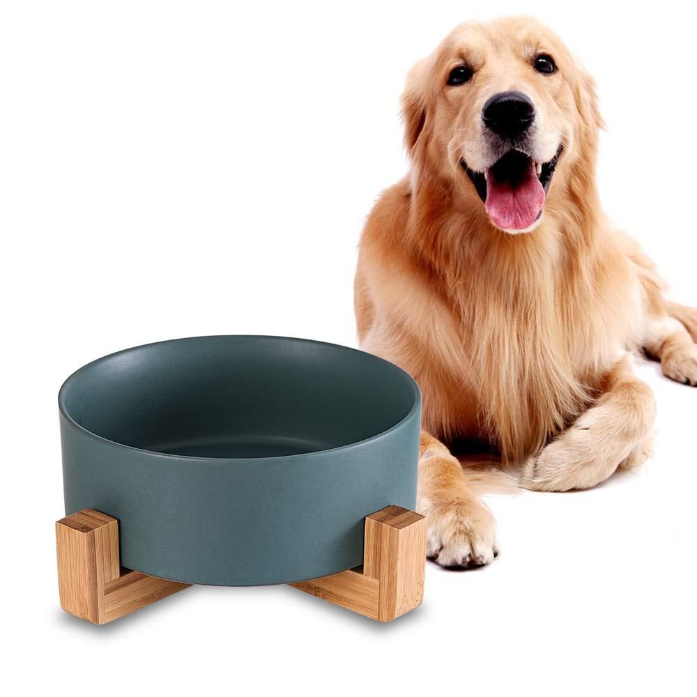 Kitten Bowl for Food and Water, Raised Ceramic Cat Food