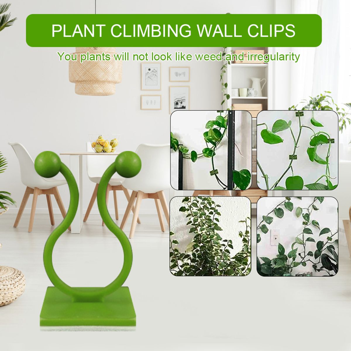 Green Plants Wall-Climbing Holder Self-Adhesive Hook Cirrus