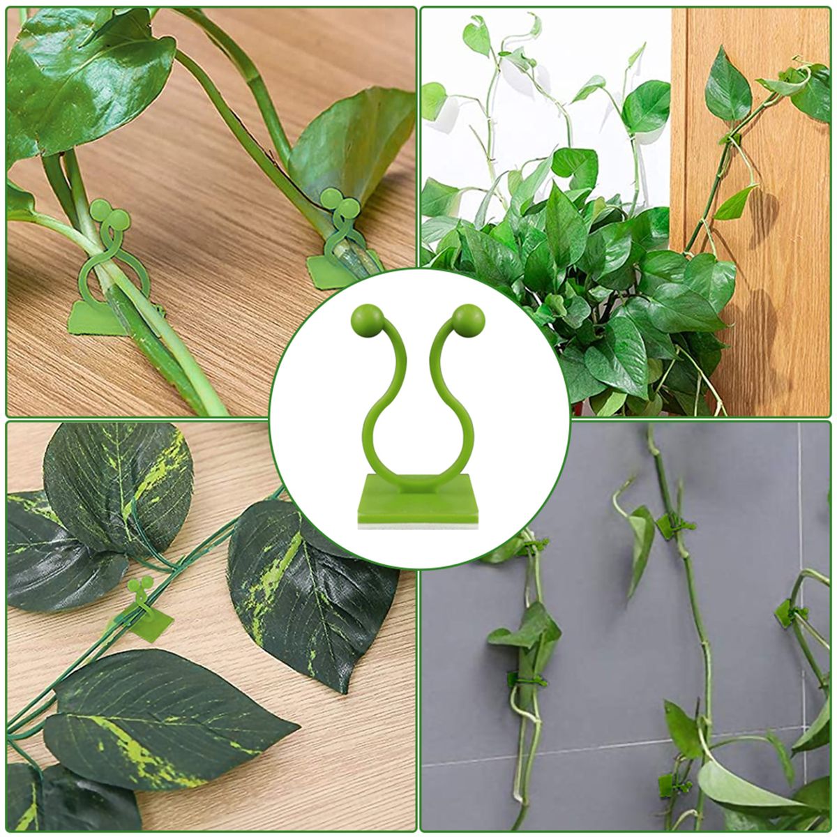 Green Plants Wall-Climbing Holder Self-Adhesive Hook Cirrus