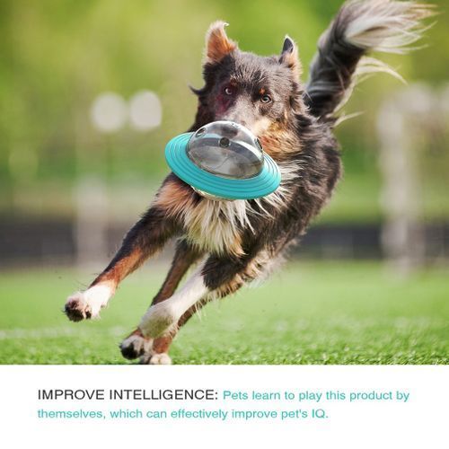 Bite Resistant Dog Toy Flying Saucer Food Spiller Educational Device