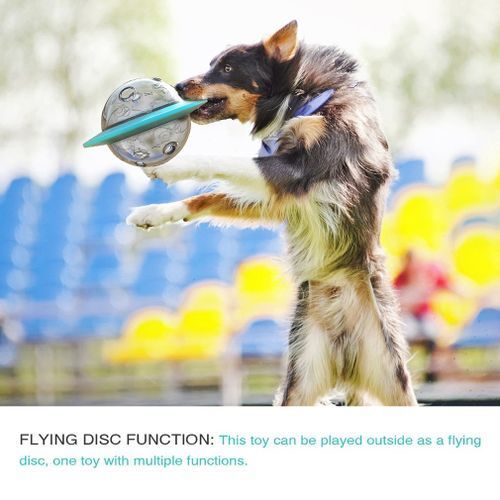 Bite Resistant Dog Toy Flying Saucer Food Spiller Educational Device