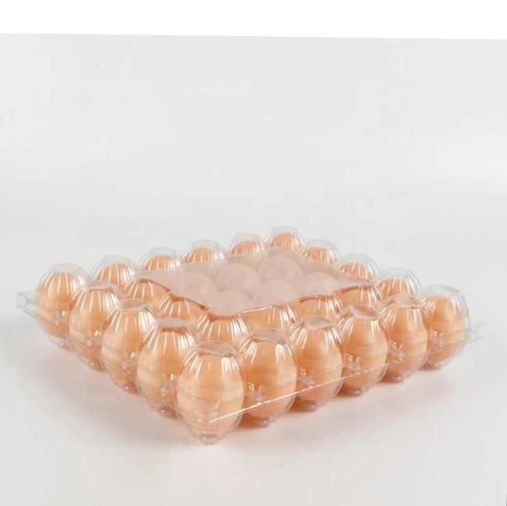 30 Holes Transparent Egg Crates