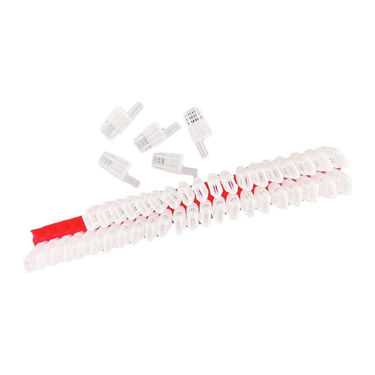 46PCS Bee Queen Cage With Transport Holder Bee Queen Cage