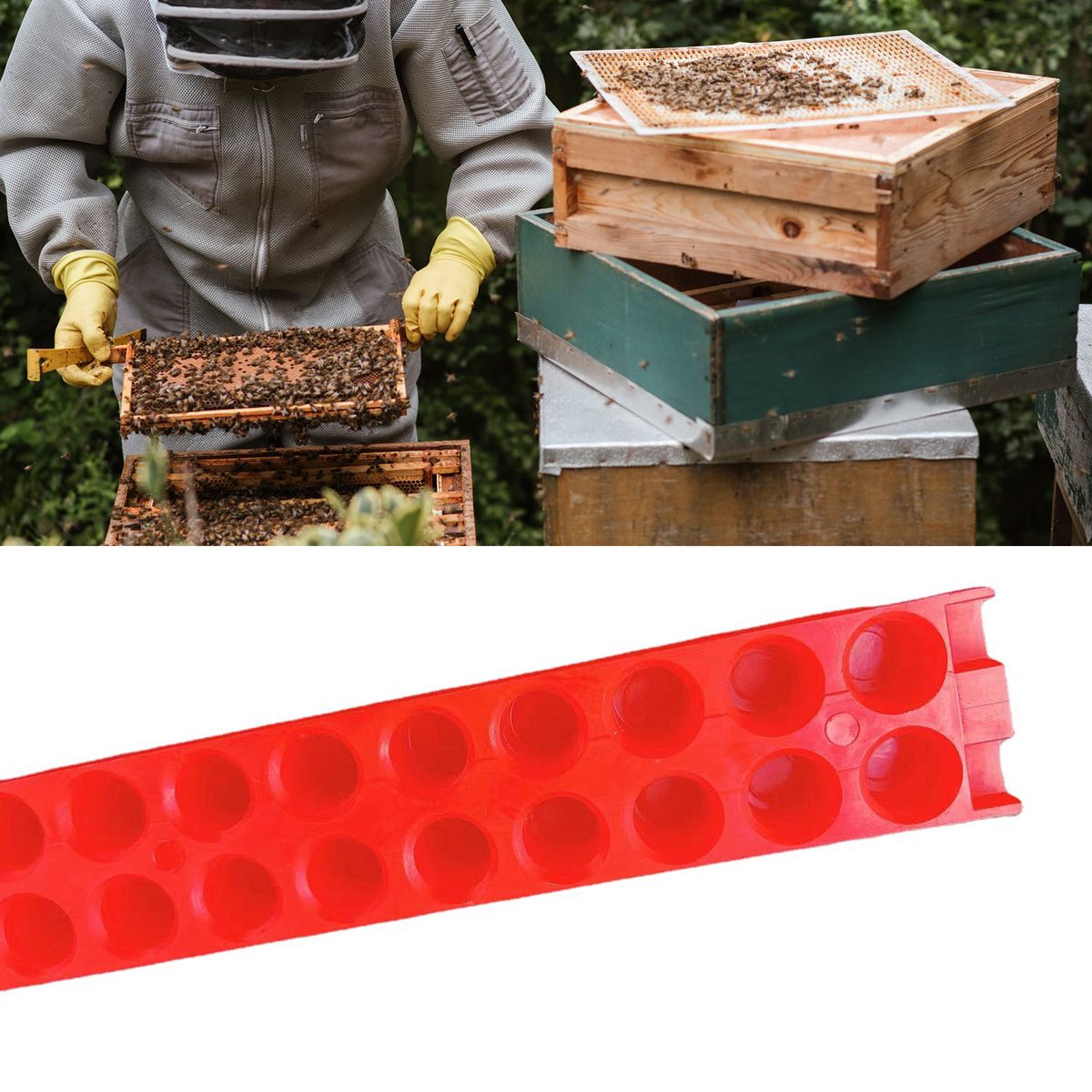 46PCS Bee Queen Cage With Transport Holder Bee Queen Cage