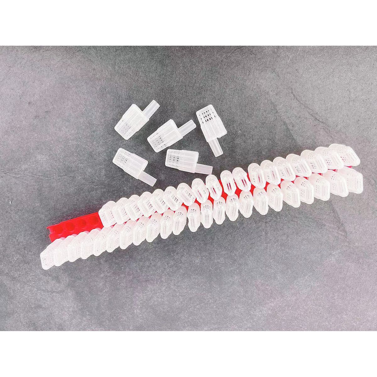 46PCS Bee Queen Cage With Transport Holder Bee Queen Cage