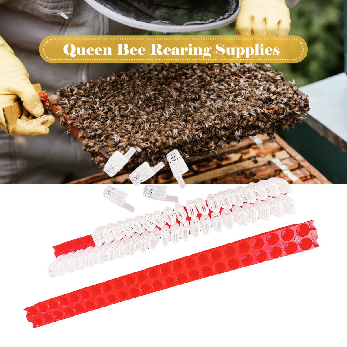 46PCS Bee Queen Cage With Transport Holder Bee Queen Cage