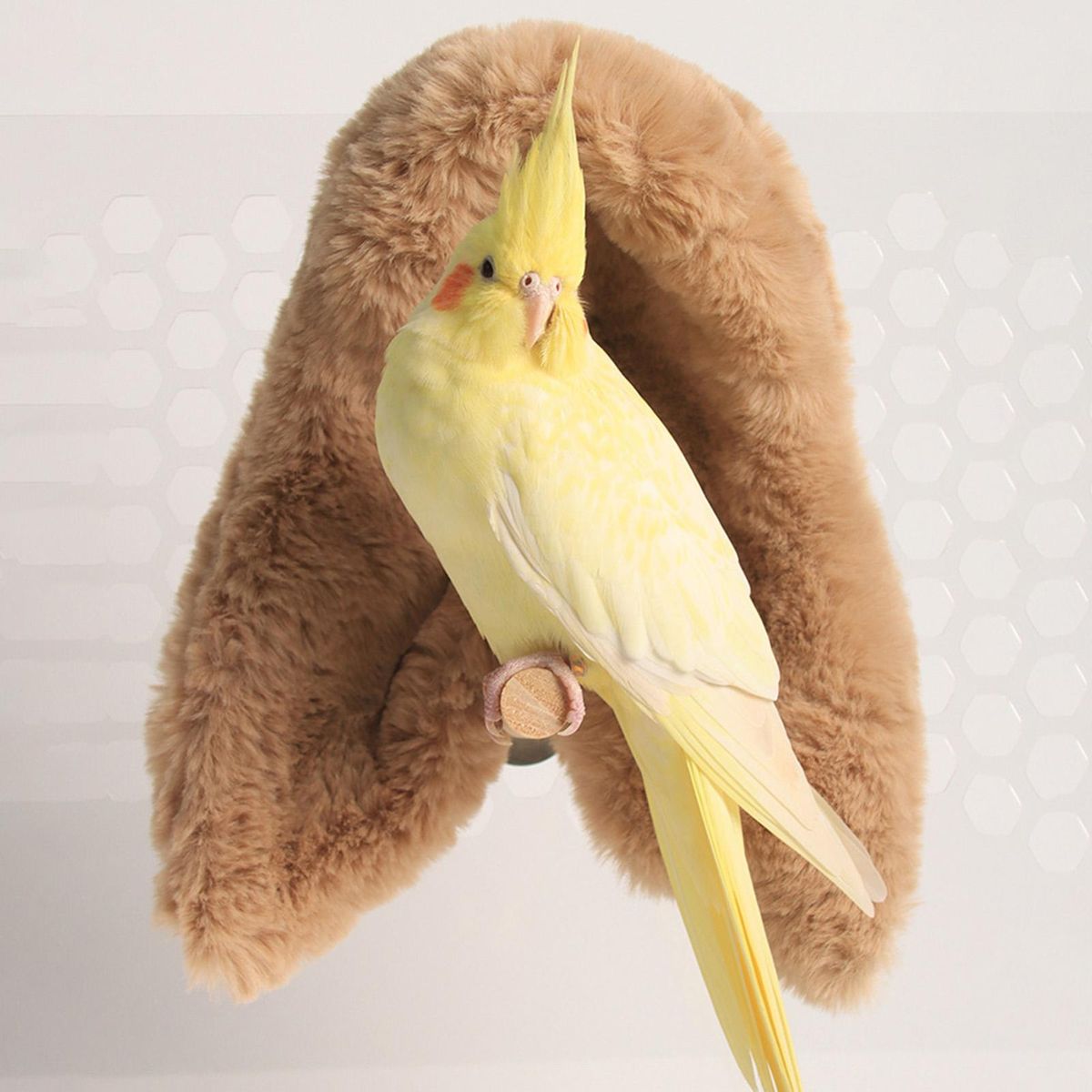 Bird Nest Bird Shawl Nest Corner Parrot Blanket Khaki