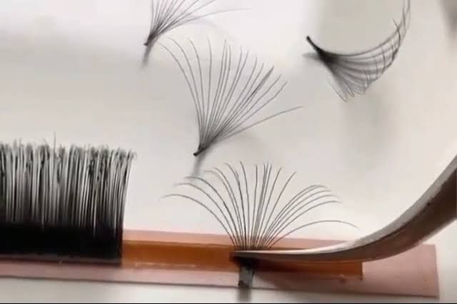 Dillie Beauty Easy Fan Volume Lash Extensions Flare Blooming