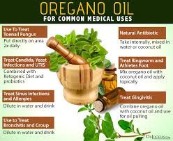Oregano Oil  30ml - 12pcs