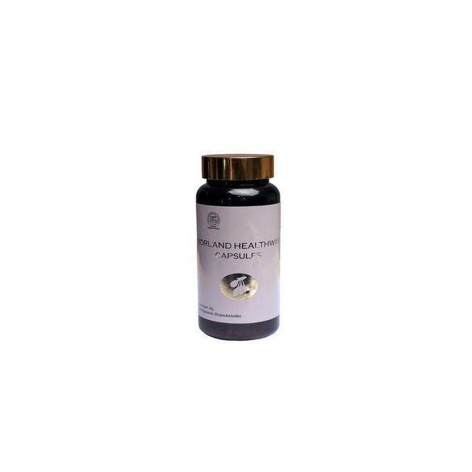 Norland HEALTHWAY CAPSULE- ( For Diabetes)