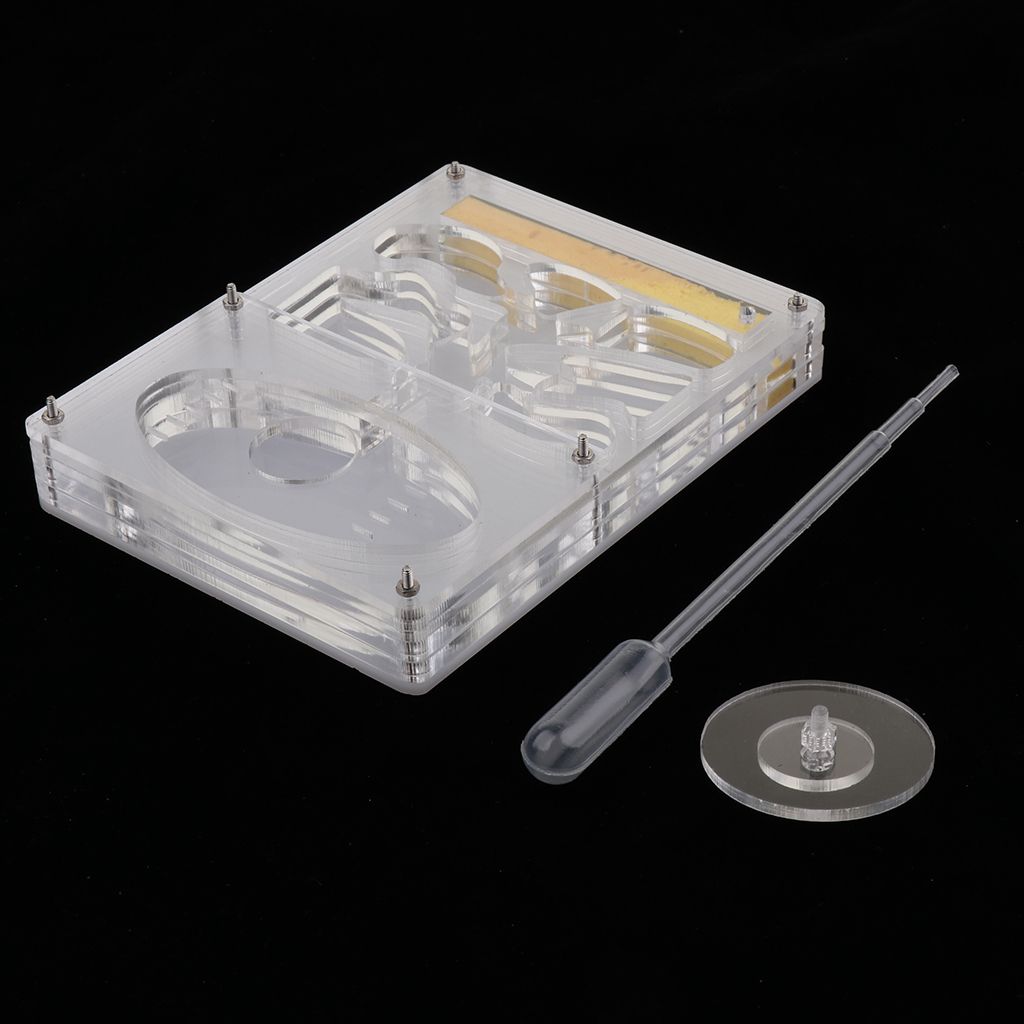 Clear Ant Housing Acrylic Nest Ant Feed Farm Formicarium Box 13 X 10 X
