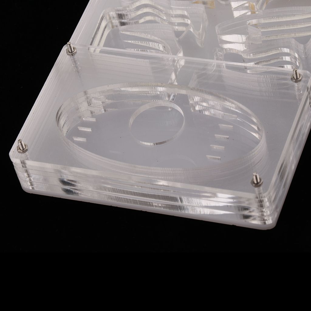 Clear Ant Housing Acrylic Nest Ant Feed Farm Formicarium Box 13 X 10 X