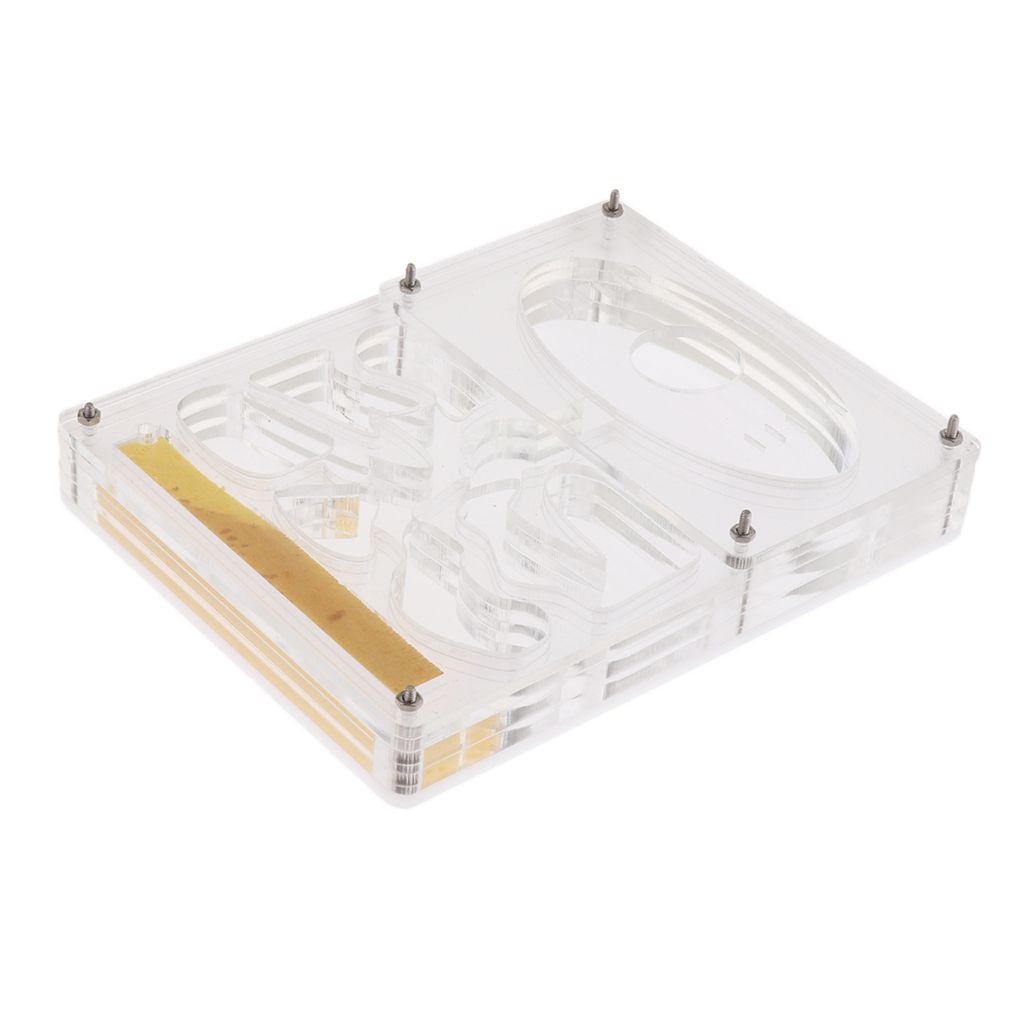 Clear Ant Housing Acrylic Nest Ant Feed Farm Formicarium Box 13 X 10 X