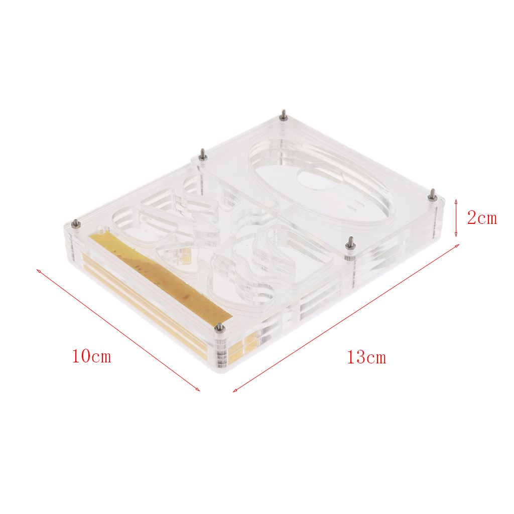 Clear Ant Housing Acrylic Nest Ant Feed Farm Formicarium Box 13 X 10 X