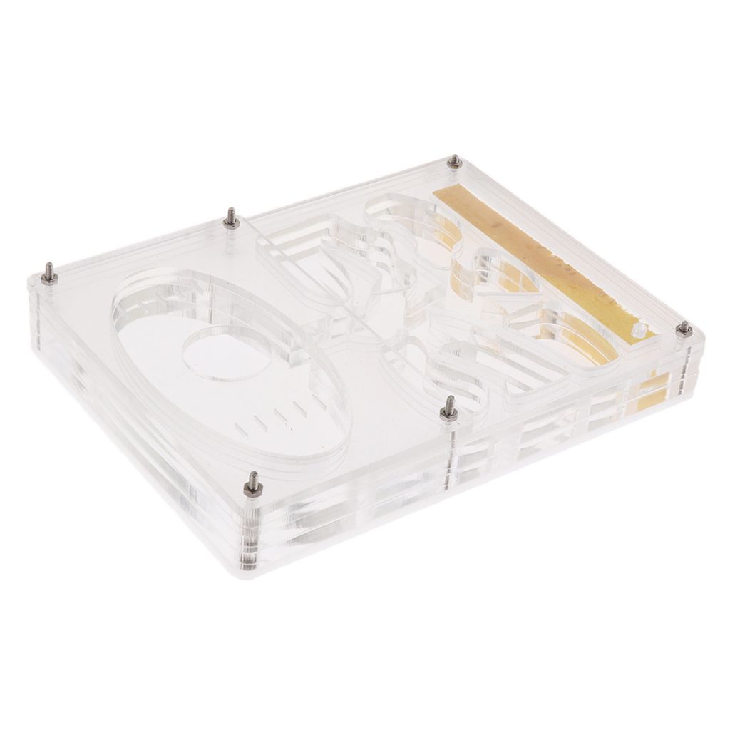 Clear Ant Housing Acrylic Nest Ant Feed Farm Formicarium Box 13 X 10 X