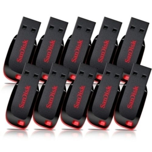 16GB Flash Drive - 10 Units