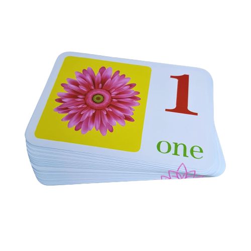 Alphabet And Numbers Pocket Flash Cards