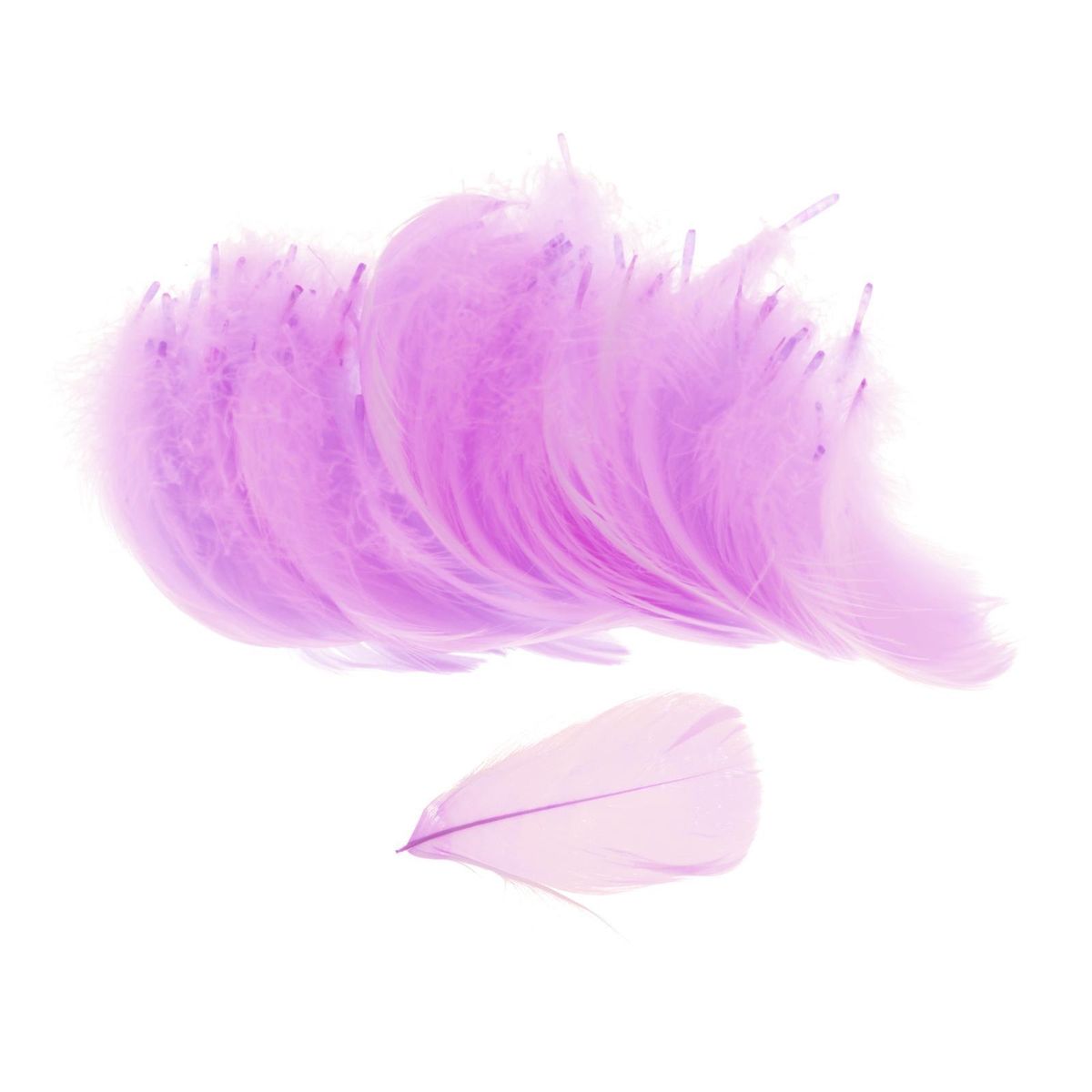 6-8 CM Small  Goose Feathers Colorful Swan