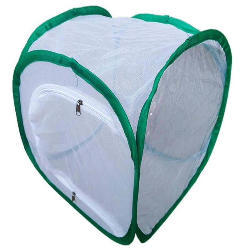 Collapsible Insect Cage Mesh Insect Habitat Cage Butterfly