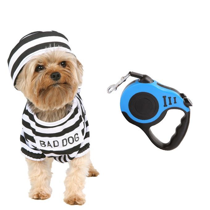 Long 5m Retractable Dog Leash Dual Locking Extendable Dog Running Blue