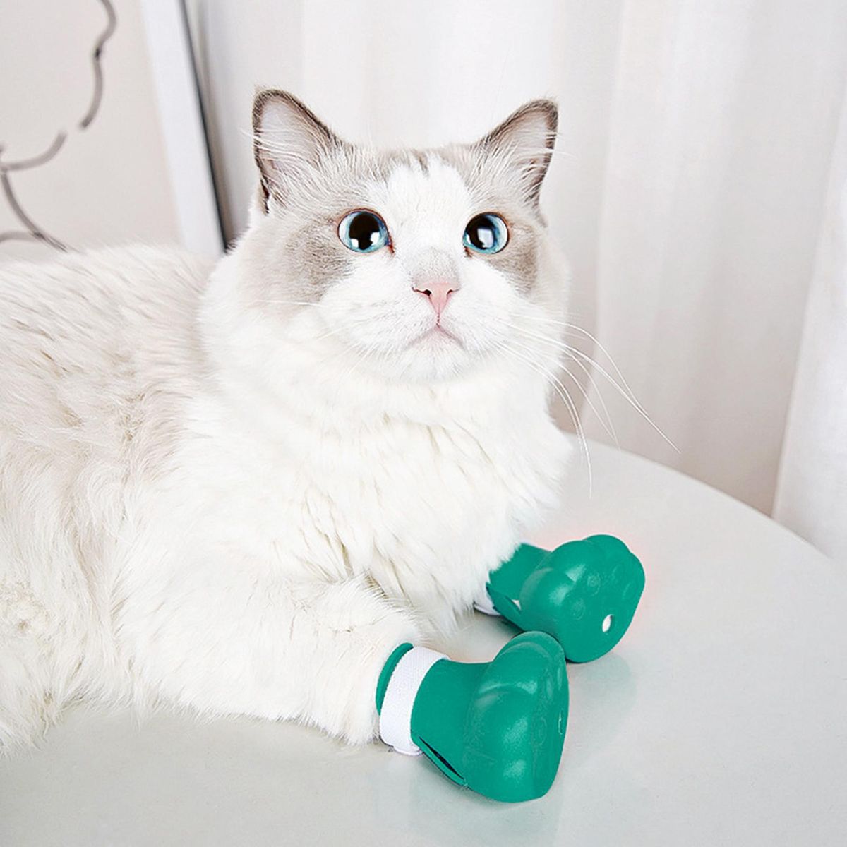 4Pcs Cat Claw Covers Feeding Drugs Cat Foot Claw Covers Light Blue