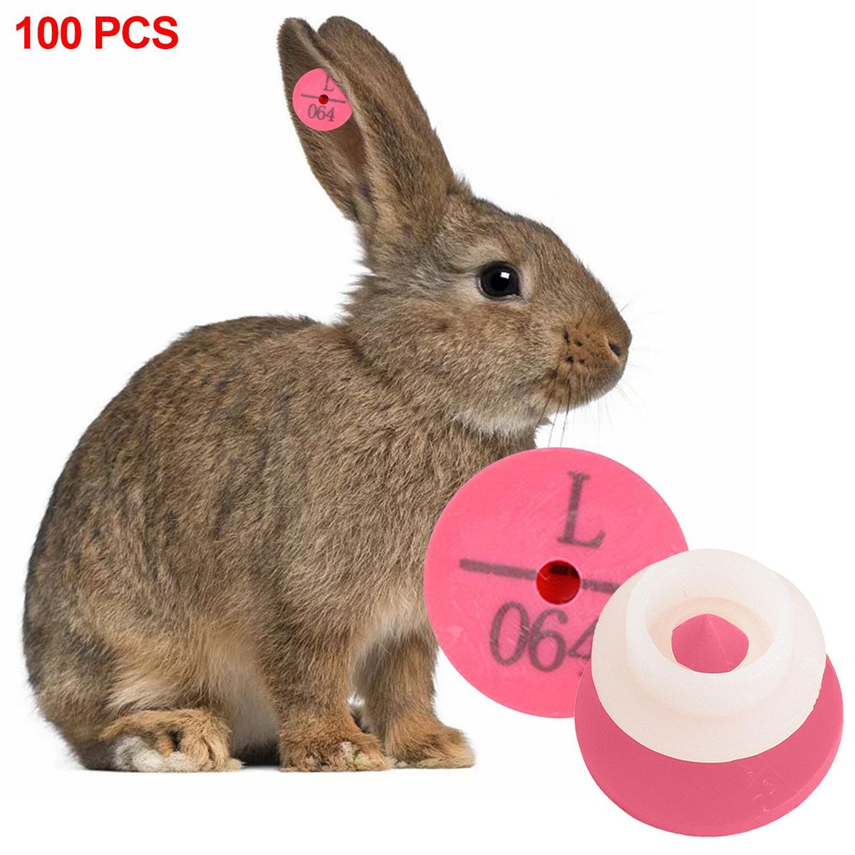 100PCS S For  Farm Supplies For  Information Rose Red
