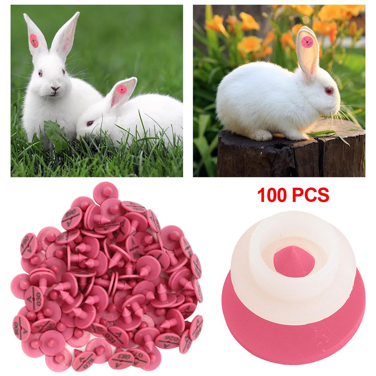 100PCS S For  Farm Supplies For  Information Rose Red