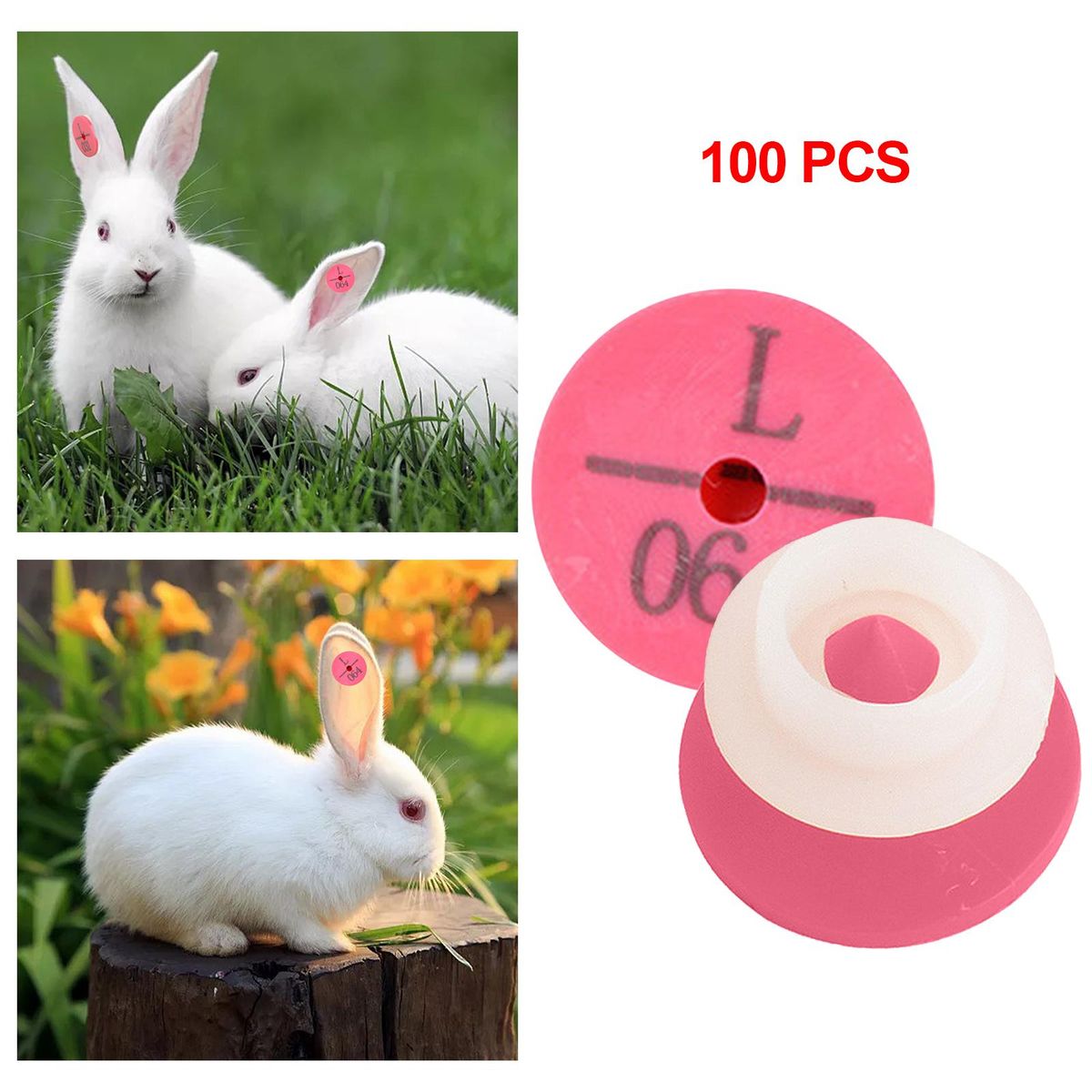 100PCS S For  Farm Supplies For  Information Rose Red