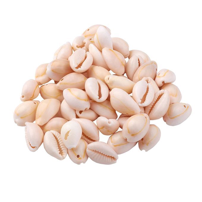 About 120150Pcs Natural Cowrie Beach Sea Shells 912mm Natural Spiral