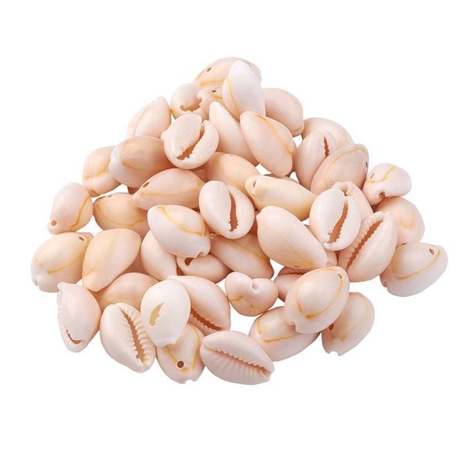 About 120150Pcs Natural Cowrie Beach Sea Shells 912mm Natural Spiral