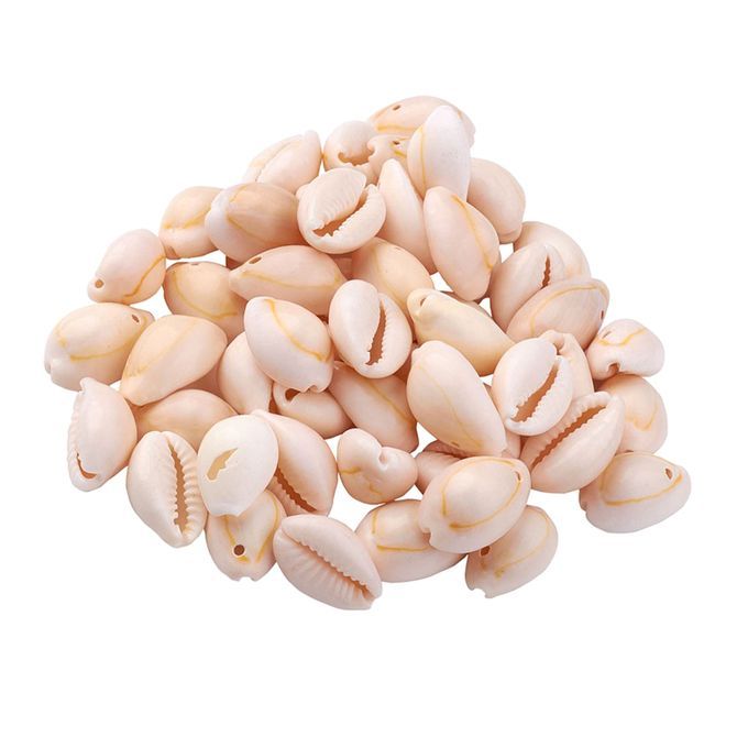 About 120150Pcs Natural Cowrie Beach Sea Shells 912mm Natural Spiral