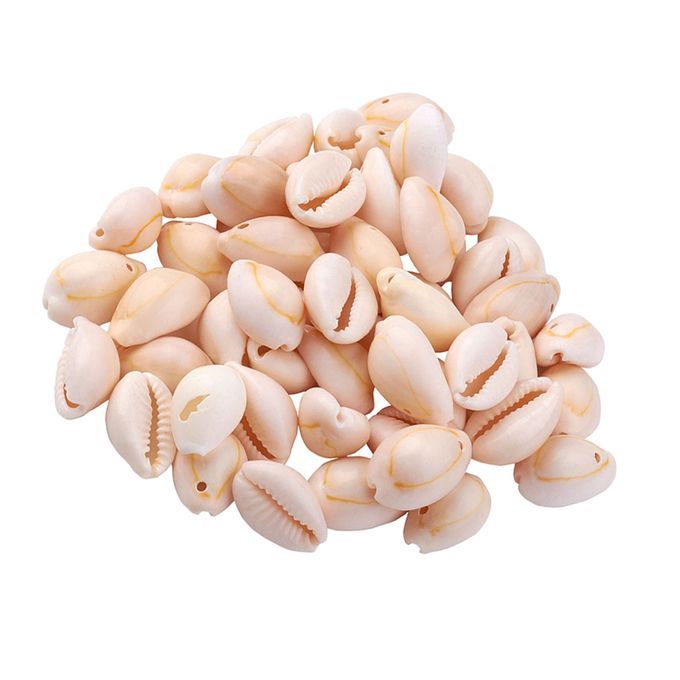 About 120150Pcs Natural Cowrie Beach Sea Shells 912mm Natural Spiral