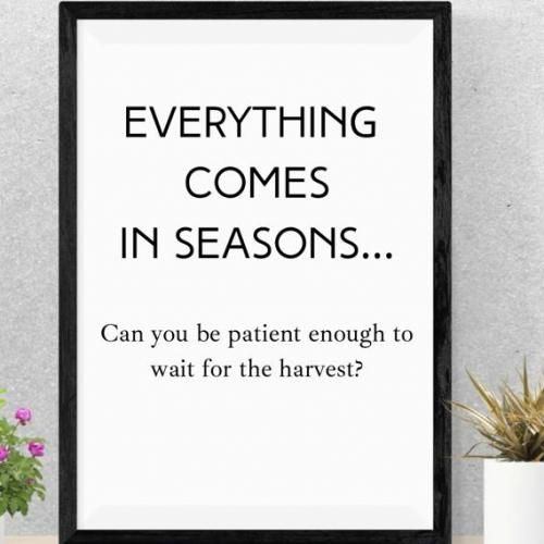 THE SEASON Inspirational Wall Frame