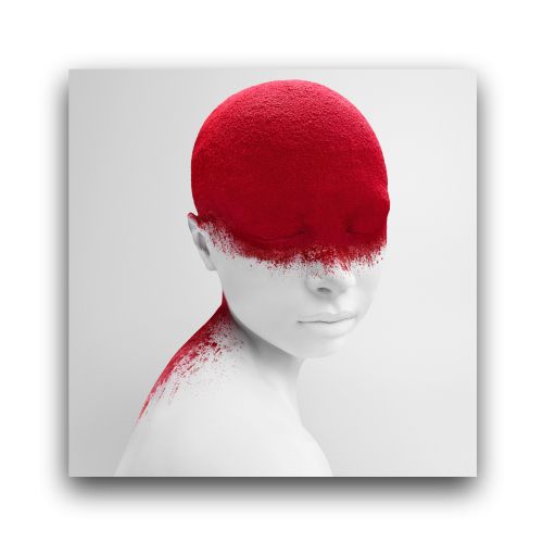 Framed Red Head Premium Wall Art Canvas