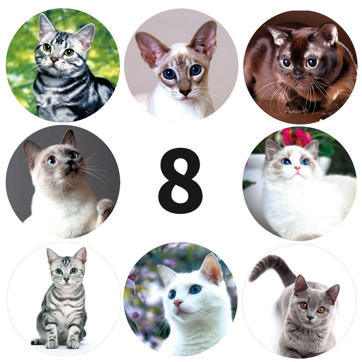 500pcs Waterproof Cute Animal Roll Stickers Kids Reward-