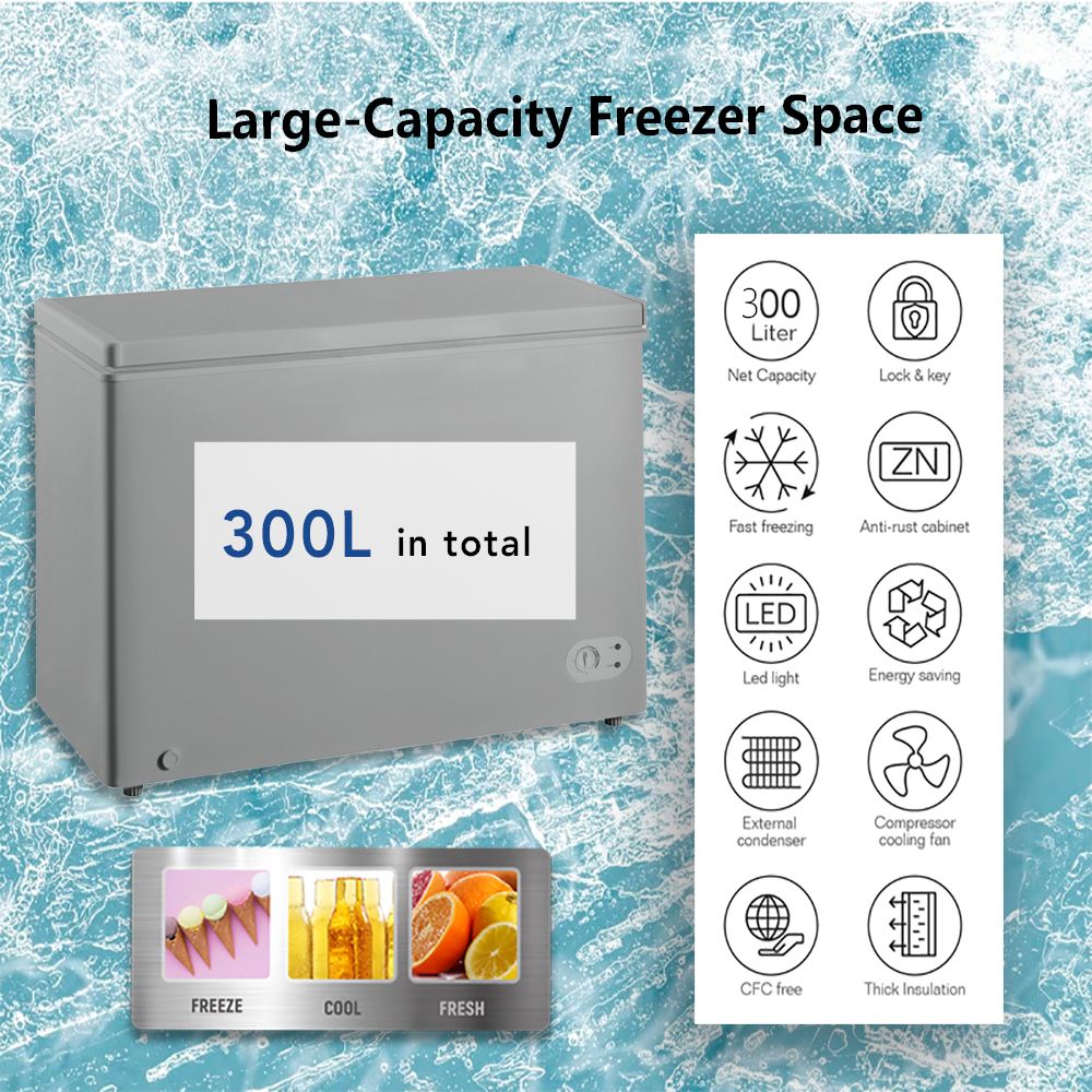 300-Litres Chest Freezer (BD-300HNW) -Grey