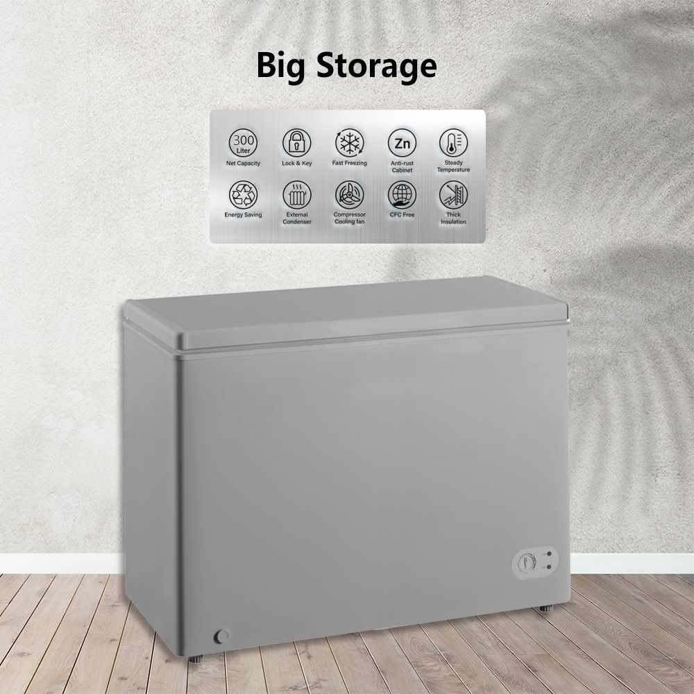 300-Litres Chest Freezer (BD-300HNW) -Grey