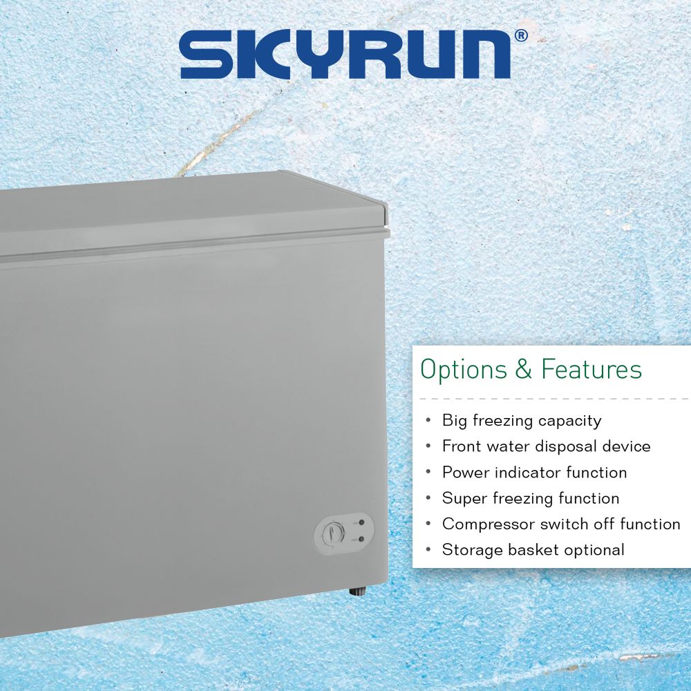 300-Litres Chest Freezer (BD-300HNW) -Grey